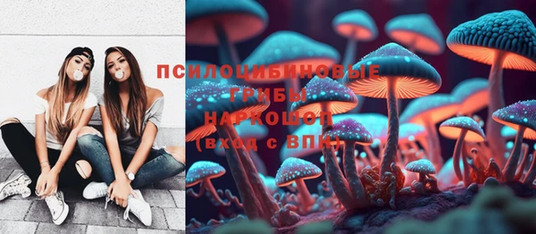 ешки Алексин