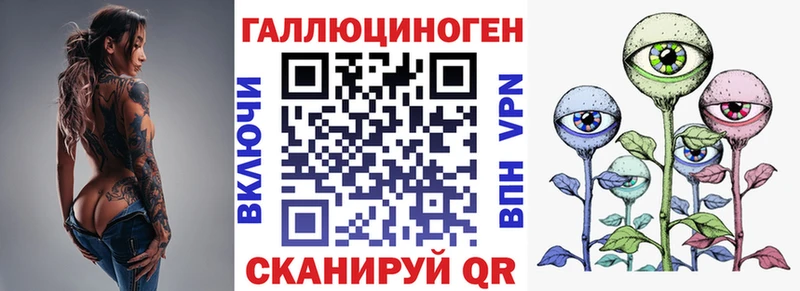 закладка Кирс Галлюциногенные грибы Cubensis