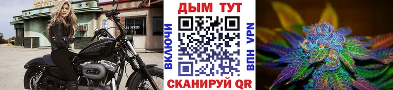 Марихуана семена  Кирс 